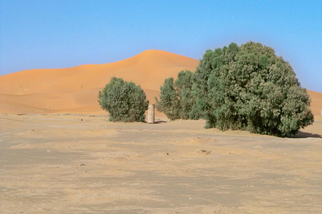 Kasbah Tamariste Acomodação com café da manhã Merzouga Exterior foto