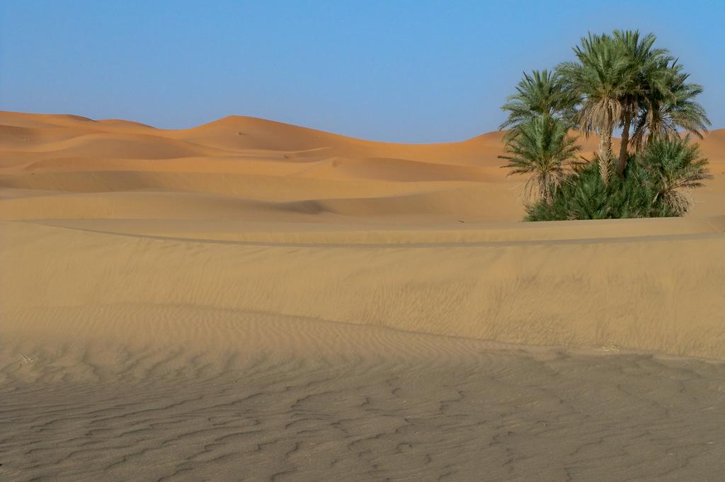 Kasbah Tamariste Acomodação com café da manhã Merzouga Exterior foto