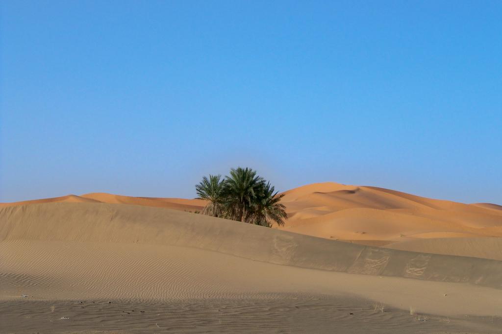 Kasbah Tamariste Acomodação com café da manhã Merzouga Exterior foto